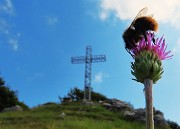 Monte Suchello (1541 m) ad anello da Costa Serina il 28 agosto 2024   - FOTOGALLERY